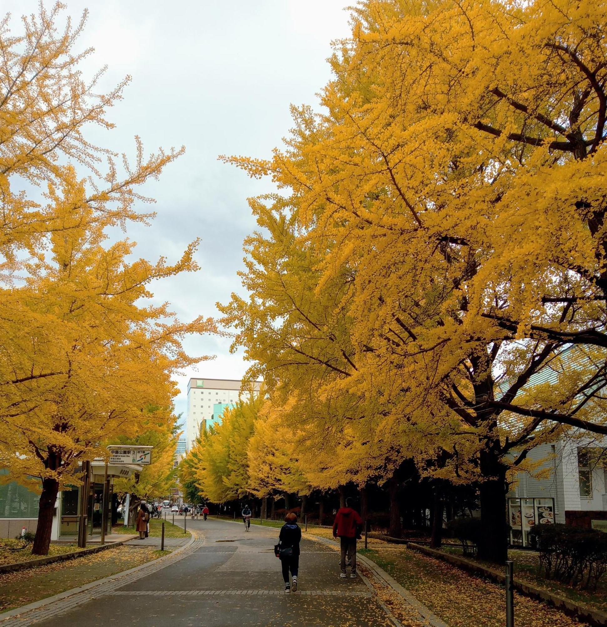 Aup178 Apartment Sapporo Ngoại thất bức ảnh